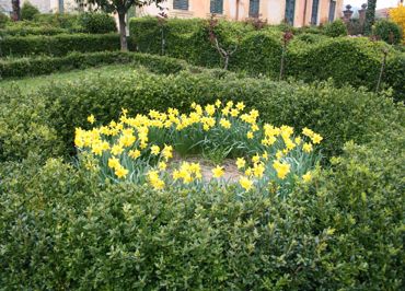 The thousand colors of the garden