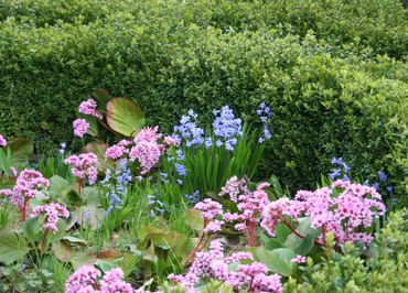 The thousand colors of the garden